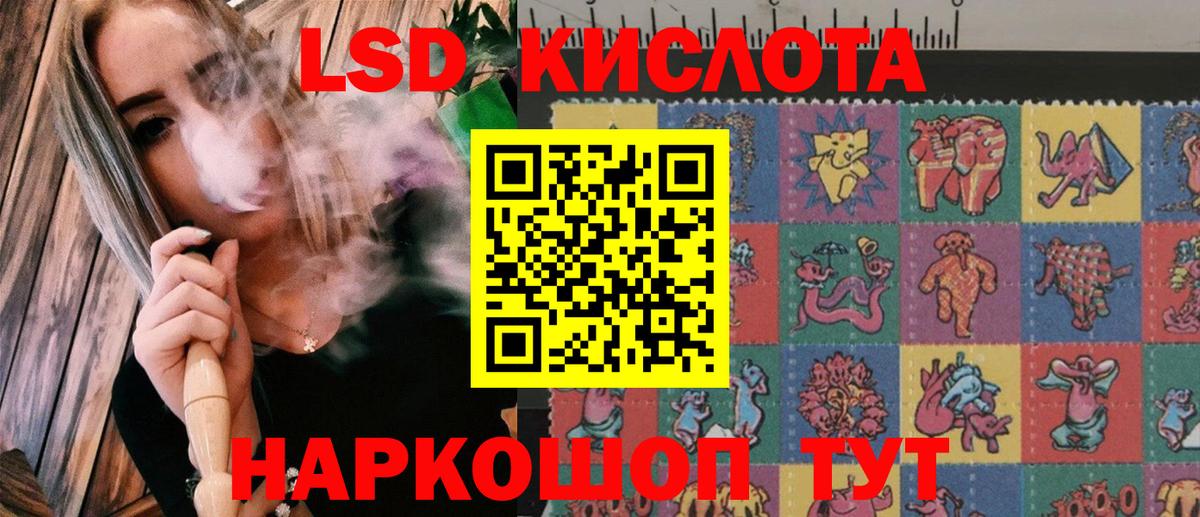 Наркотические марки 1500мкг  Вход с VPN  Наркотические марки 1500мкг  Гатчина 
