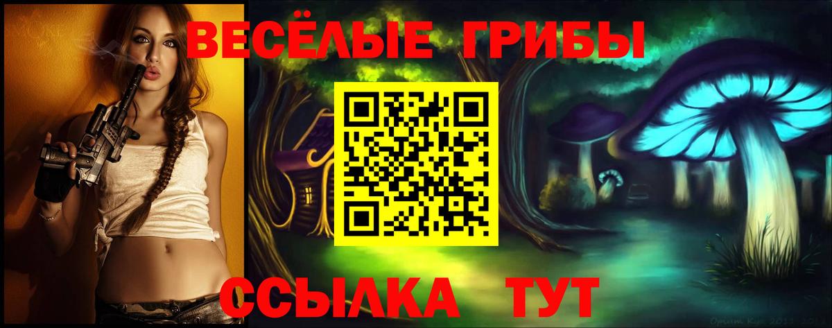 Гатчина  Галлюциногенные грибы мухоморы  Вход с VPN 