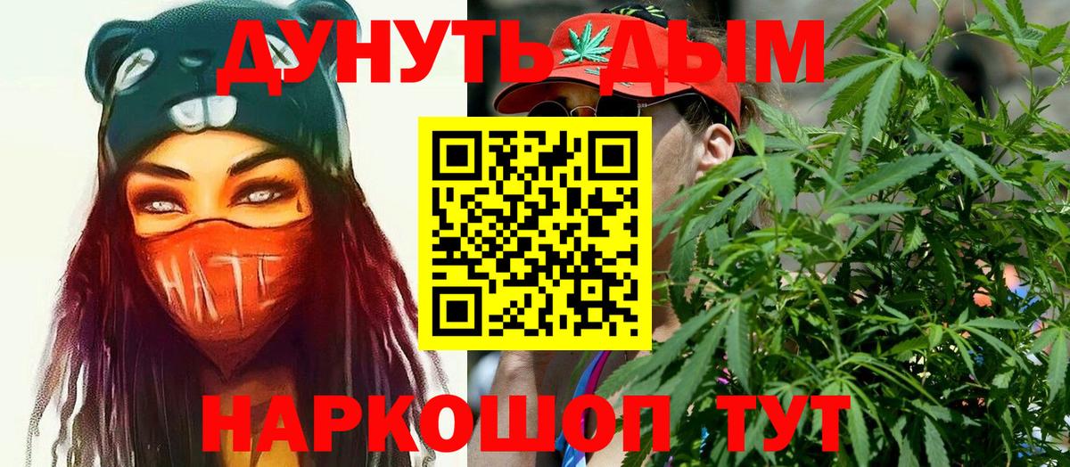 Канабис OG Kush Гатчина